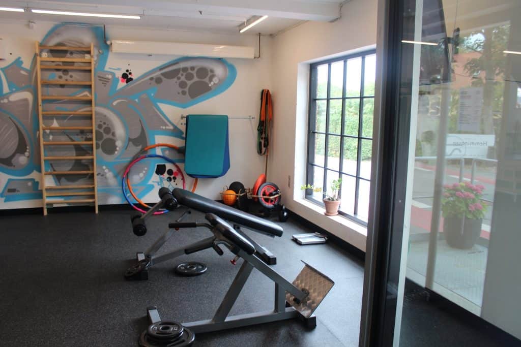 Byliv.nu: Et veloplyst træningscenter til hjemmet med diverse fitnessudstyr, herunder en romaskine, vægte, modstandsbånd og en vægmonteret stige. Et stort vindue og levende vægkunst er synlige.